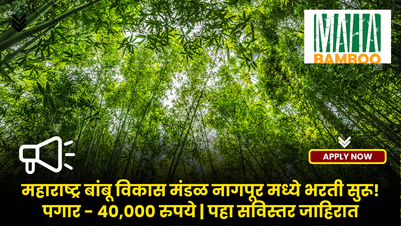 Maha Bamboo Bharti 2025