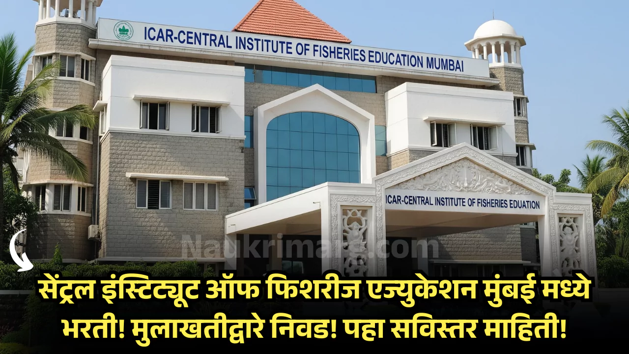 CIFE Mumbai Bharti 2025
