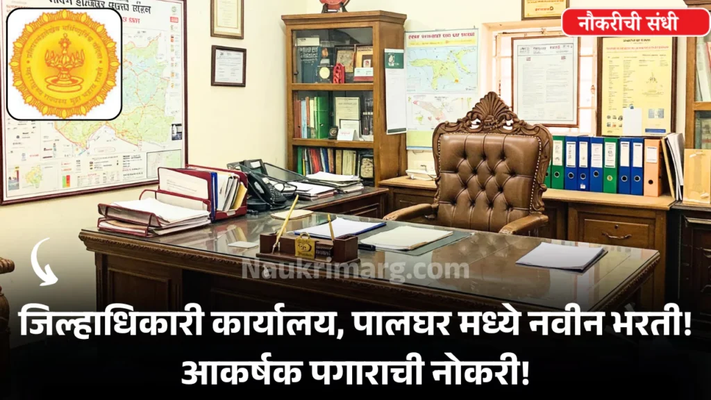 Collector Office Palghar Bharti 2025